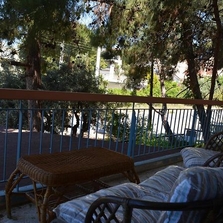 Spacious Apartment With Balconies, Ac, King Bed, Near Dt And Transports アテネ エクステリア 写真