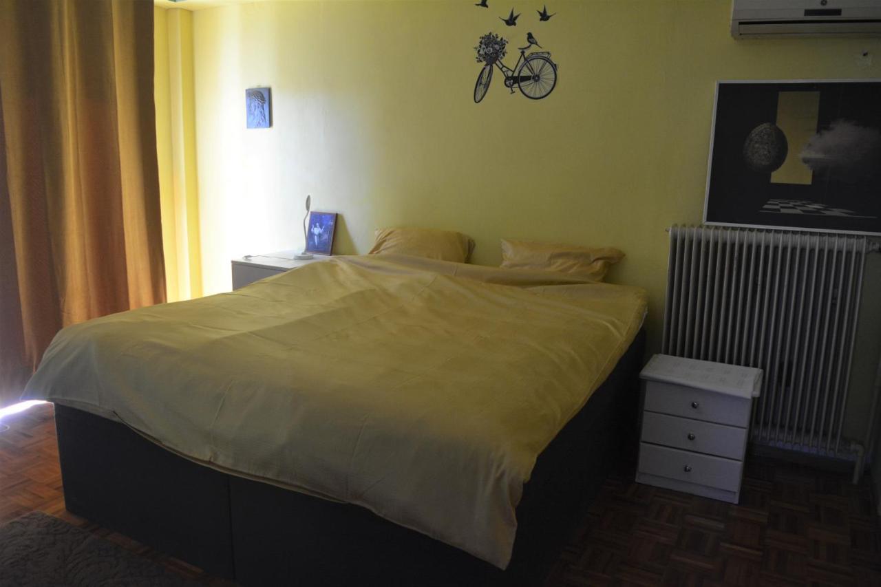 Spacious Apartment With Balconies, Ac, King Bed, Near Dt And Transports アテネ エクステリア 写真